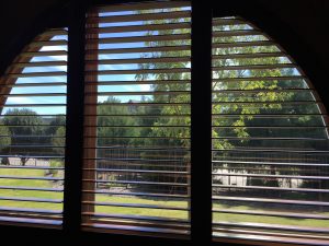 How to Choose Between Window Blinds and Shades